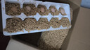 京喜加农家新鲜散养鸡蛋单枚40g正负5g谷饲蛋初生蛋溏心蛋早餐生鲜买菜 40枚 实拍图