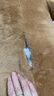贝尚星 卡皮巴拉抱枕睡觉公仔毛绒玩具生日玩偶水豚娃娃毕业礼物女80cm 实拍图