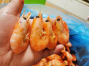美加佳熟冻北极甜虾腹籽净重3斤 90/120规格  海鲜水产 熟冻甜虾 实拍图
