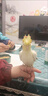 宠易生鹦鹉奶粉手养鹦鹉雏鸟幼鸟营养乳粉中大小型鹦鹉饲料200g 晒单实拍图