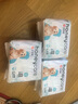 HONEYCARE狗狗纸尿裤公狗尿不湿尿片安全裤 S适用体重4-7kg/12片装 实拍图