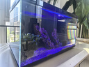 当贝智能生态鱼缸1Ultra 一体缸自循环桌面鱼缸 财运石造景套餐 实拍图