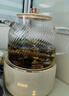 World Kitchen康宁养生壶全玻璃恒温壶煮茶壶煮茶器1L办公室必备家用花茶壶炖煮烧水壶电热水壶煮水壶（标准款） 实拍图