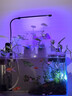 迈睿星全光谱led植物生长灯仿太阳光多肉花卉室内家用植物补光灯 1头/循环定时/usb接口 实拍图