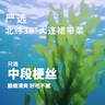 盖世 调味裙带菜2斤装 酸甜解腻海白菜 海草海藻沙拉寿司 聚餐 实拍图