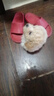 果粒之星纯种灰泰迪泰迪幼犬小型犬贵宾犬宠物狗活体小狗 宠物级 香槟色 实拍图