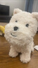 babycare&bctoys儿童毛绒玩具狗电子哈基米宠物玩偶节日生日礼物西高地犬 实拍图