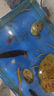 招财宠物鱼冷水观赏草金鱼锦鲤鱼好养耐活包邮包活 【1-3厘米】 混色招财水宠金鱼2条送1条备损 实拍图