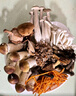 京地达云南特产新鲜菌类净重2斤10种鲜菌组合装多种菌菇源头直发包邮 实拍图