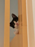 加仕高猫咪玩具逗猫棒幼猫羽毛铃铛宠物玩具伸缩加长钓鱼杆用品 实拍图
