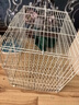 栗好嘉鸭子笼子家用小鸡笼子芦丁鸡饲养笼养鸭子笼子黄鸡养殖笼柯尔鸭笼 白色（饮水器4件套） 芦丁鸡笼小号35*25*26 2只 实拍图