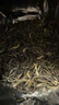 张一元茶叶茉莉花茶毛尖新春茶冷泡浓香型伴手茶礼送礼品特种200g金罐装 实拍图