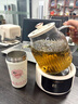 乐扣乐扣养生壶   0胶水全玻璃花茶壶多功能煮茶壶恒温壶EJK3655WHT 语音基础款 1L 实拍图