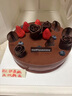好利来生日-魅力先生-提拉米苏口味蛋糕生鲜预订同城配送 20cm 提拉米苏口味 实拍图