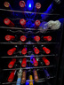 维诺卡夫(Vinocave) 恒温红酒柜保湿小型迷你家用客厅白酒葡萄玻璃冷藏储藏柜办公小酒柜保鲜柜冰吧超薄款 镜面玻璃+金属镀铬层架SC-28AJP 28瓶 实拍图