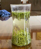一杯香茶叶绿茶明前头芽雀舌四川250g2025新茶春茶礼盒装自己喝送礼 实拍图