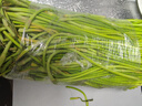 京喜自营新鲜蒜苔现采现发生鲜蔬菜京东超市同款即食蒜苔 新鲜蒜苔 3斤 实拍图
