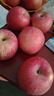 玫栀烟台红富士苹果山东栖霞新鲜孕妇吃的水果不打蜡一级脆甜当季整箱 75mm(含)-80mm(不含) 富士 5斤 A+精选果 实拍图