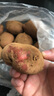 【真便宜】云南红皮土豆高原黄心土豆云南土豆新鲜红皮黄心洋芋 云南红皮土豆 2斤 单果1-3两 实拍图