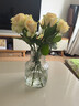 欧式冰川纹玻璃ins 风花瓶客厅摆件鲜花干花插花水养水培透明花器 透明冰川花瓶（20*12*8) 1个装 实拍图