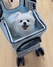 伯纳天纯生鲜小型犬中大型犬粮深海御鲜三文鱼泰迪比熊幼犬成犬粮2kg/4斤 实拍图