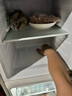 长城（GREAT WALL FRIDGE）家用迷你小冰箱小型冷冻冷藏保鲜宿舍出租房办公室节能省电双开门电冰箱 银色126L【一级能效 全国联保】 晒单实拍图