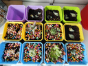 绿族（LVZU） 多肉花盆12孔托架套装育苗小方盆植物塑料多肉托架塑料颜色随机 实拍图
