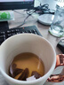 乐扣乐扣 迷你养生壶烧水杯 养生杯迷你花茶壶便携式烧水壶电煮杯电炖杯电热水杯烧水壶陶瓷覆层内胆350ML 实拍图