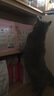 麦富迪猫粮 barf霸弗生骨肉主食冻干天然成猫粮7.2kg牛肉配方均衡营养 实拍图