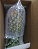 佳农 黑钻菠萝1粒装 巨无霸大果 菲律宾凤梨 净重3.6斤 生鲜水果 包邮 实拍图