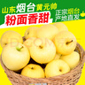甜醉了 烟台苹果黄元帅粉面苹果黄金帅黄香蕉山东特产新鲜水果整箱生鲜 净重4.5斤单果140g+ 实拍图