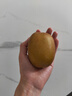 佳沛（zespri）新西兰阳光金奇异果原箱 16粒巨无霸 单果重约202-230g   猕猴桃 实拍图