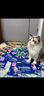 LEGENDSANDY蓝氏猫零食主食猫条烘焙猫粮成猫幼猫通用餐包湿粮尝鲜大礼包306g 实拍图
