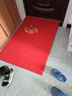 正八【可定制尺寸】加厚PVC防滑垫丝圈地垫入户酒店电梯商用婚庆地垫 红色 特厚80*120厘米 实拍图