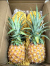 三萌果蔬正宗金钻凤梨 海南当季新鲜爆甜手撕金菠萝香水果整盒节日送礼 9斤精选装净重8斤【约5-9个】 实拍图