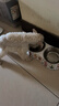 优范 宠物狗狗猫咪饭盆双食盆 喂猫狗碗不锈钢猫狗食盆宠物饮水喂食器 动物爱学习图案 实拍图