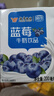 风行蓝莓风味牛奶饮品200ml*12盒*2箱 牛奶礼盒装 送礼佳品 实拍图
