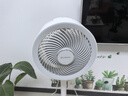 艾美特（AIRMATE）【语音大飓风】空气循环扇轻音节能电风扇家用摇头落地扇小风扇台地式电扇定时香薰交流定频SR202 实拍图