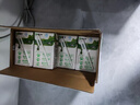 蒙牛全脂纯牛奶整箱 250ml*16盒 整箱牛奶 送礼盒装 实拍图