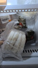 悦味纪 陕西白吉饼1.6kg 20个 肉夹馍饼胚 白吉馍百吉饼半成品早餐速食 实拍图