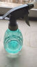 喷壶浇花浇水喷雾器气压式喷水壶家用园艺养花500ml 南瓜喷壶透蓝【1个装】 实拍图