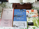 杀死一只知更鸟II：守望之心 实拍图