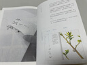 虫子间?无穷小亮推荐 朱赢椿持续9年的观虫日志 蹲下来 让美和有趣变得具体 实拍图