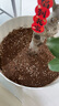 德沃多植物营养土通用40L带肥料养花土种菜花卉盆栽多肉土有机基质土壤 实拍图
