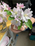 青蛙王子儿童润唇膏保湿补水滋润婴儿润唇膏0-12岁宝宝男女孩学生护唇膏 原味4g 实拍图