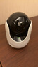普联（TP-LINK）800万4K全彩智能摄像头家用无线 室内监控器360度全景夜视手机远程呼叫通话宝宝宠物看护 IPC48DW 实拍图