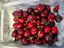 京觅 大连美早樱桃车厘子 2J级净重2.8斤单果10-12g 水果源头直发 实拍图