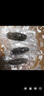 皇家麒麟 即食海参 即食大连刺参单个装辽刺参海参干货水产礼盒净含量500g 7A鲜食海参 9-12只/斤 一斤装 实拍图