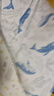babycare婴幼儿枕A类可机洗烘干暴晒透气护颈枕硅胶枕芯哈沃伊海蓝54*36 实拍图