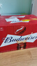 百威（BUDWEISER）经典醇正小红瓶 美式淡色拉格 啤酒整箱批发 露营烧烤 苏超看球 【经典拉格】 330mL 24瓶 整箱装 实拍图